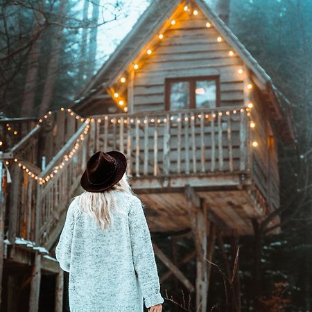 Champdray Nids Des Vosges B&B 외부 사진
